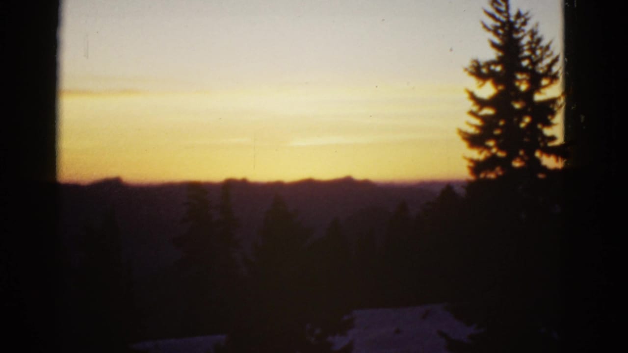 Sunset over a dark forested mountain horizon with tall evergreen silhouettes.