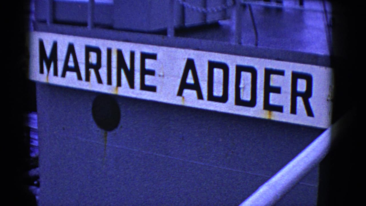 Ship hull name panel reading MARINE ADDER above dark plating and a diagonal white rail or pipe.