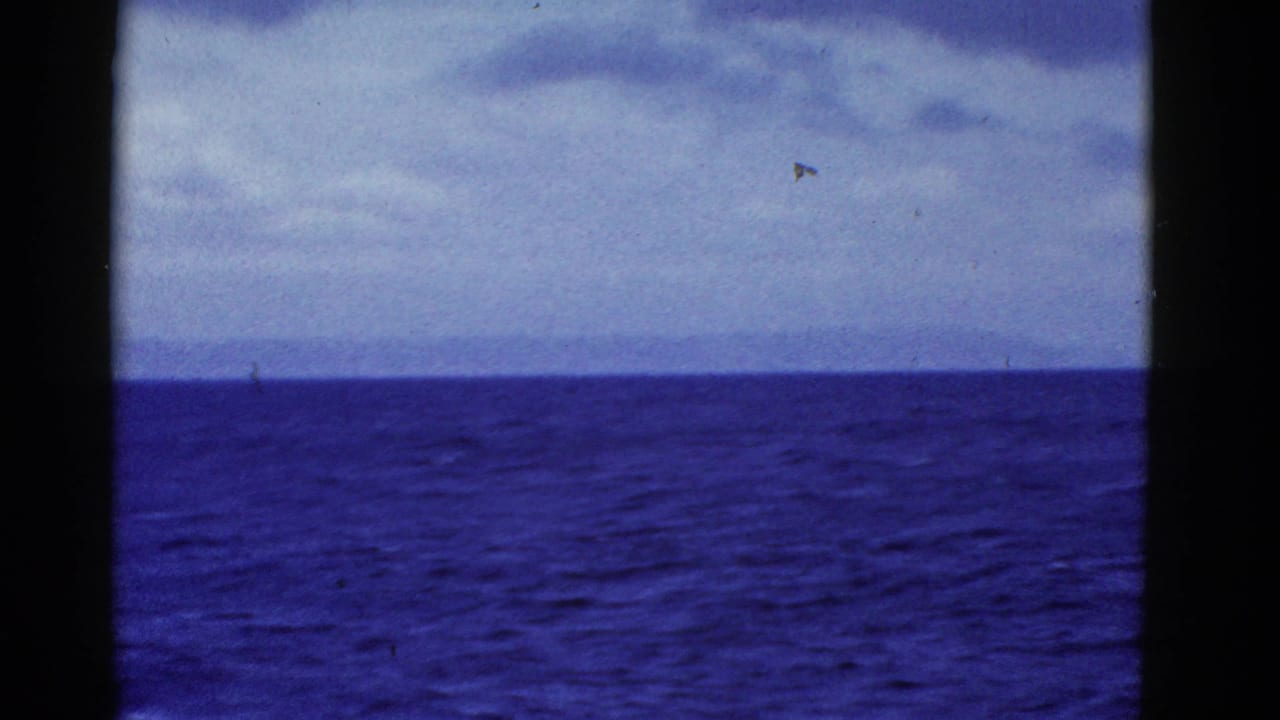 Open water and a faint horizon line viewed through dark vertical framing.
