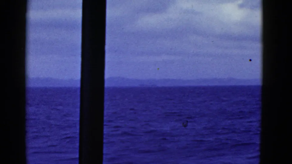 1952 San Francisco-area 8mm still with blue water, overcast sky, a low distant horizon, and a narrow dark vertical obstruction.