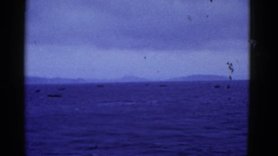 Blue-purple 8mm view of San Francisco Bay-area water with low land and small boats in the distance, framed by a boat window.