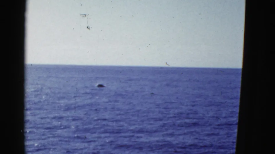 A brighter 1950s 8mm frame shows open ocean and a small dark shape near the surface under an overexposed sky.