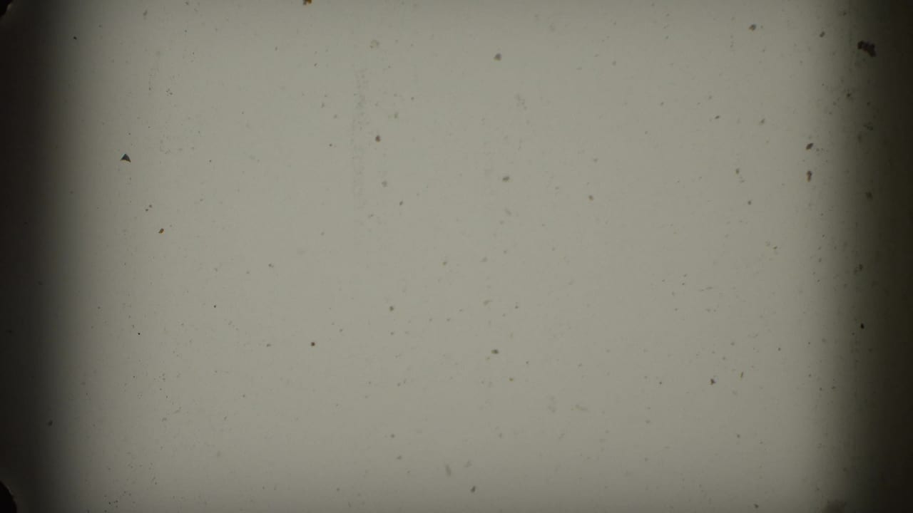 Mostly pale blank film area with dust specks and dark frame edges.