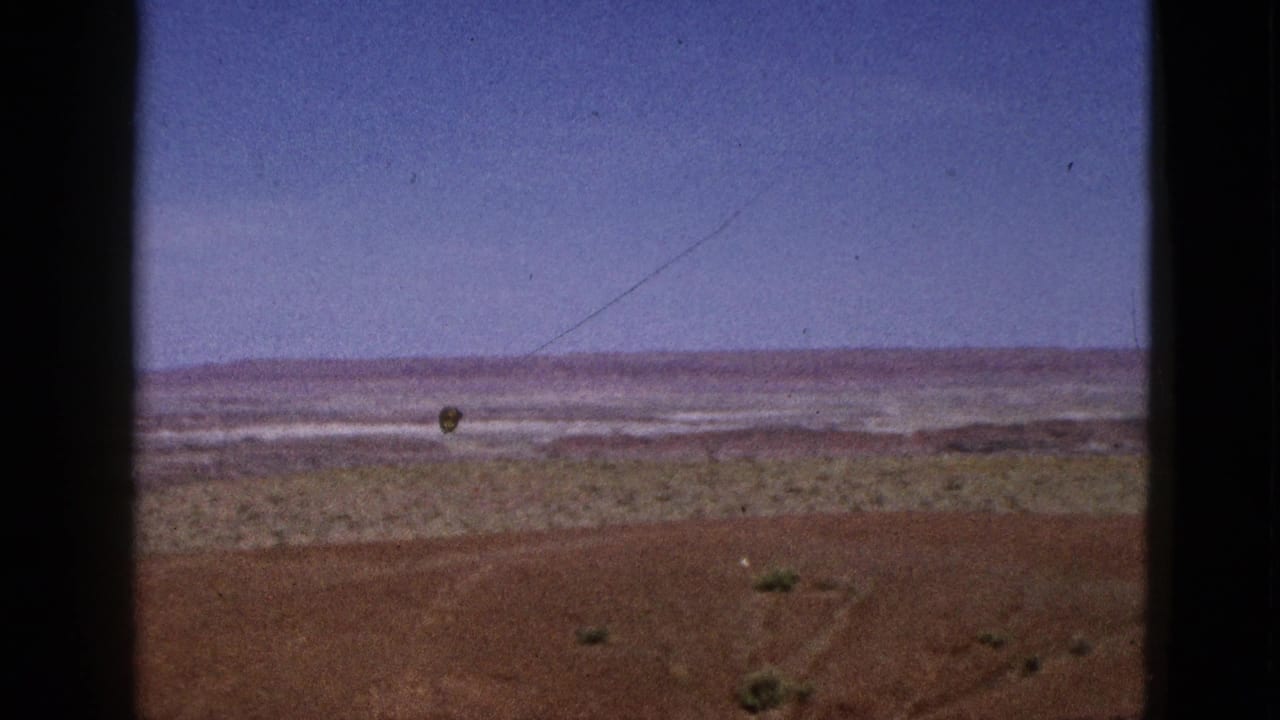 Wide desert view with red-brown earth, sparse shrubs, pale flats, distant horizon, and blue sky.