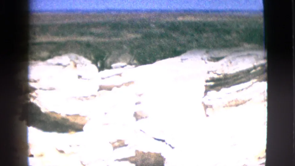 1953 8mm California footage shows an overexposed pale rock ledge with distant dry hills and open terrain beyond.