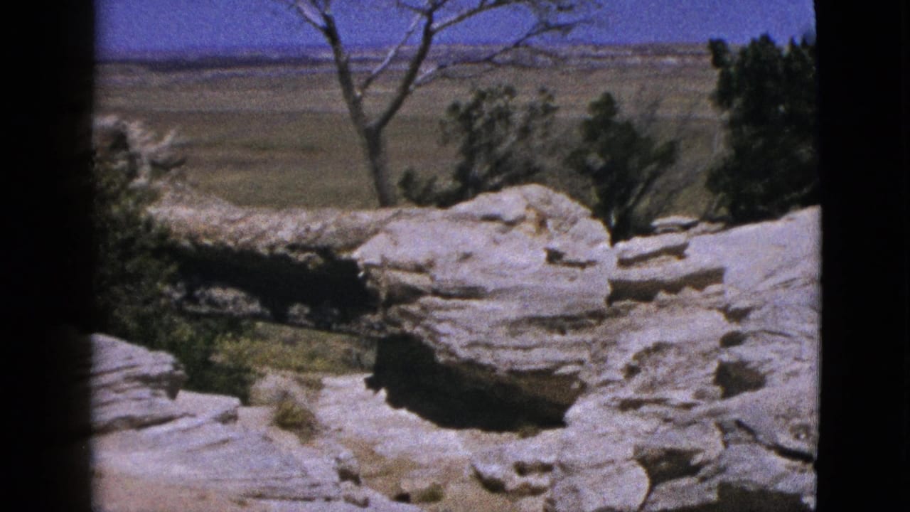 1953 California 8mm view of eroded rock ledges, shrubs, a bare tree, and flat plains beyond the overlook.