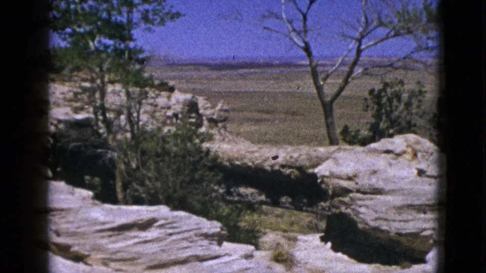 1953 California 8mm frame showing the bluff edge, scrub growth, a bare tree, and a broad dry horizon under blue sky.