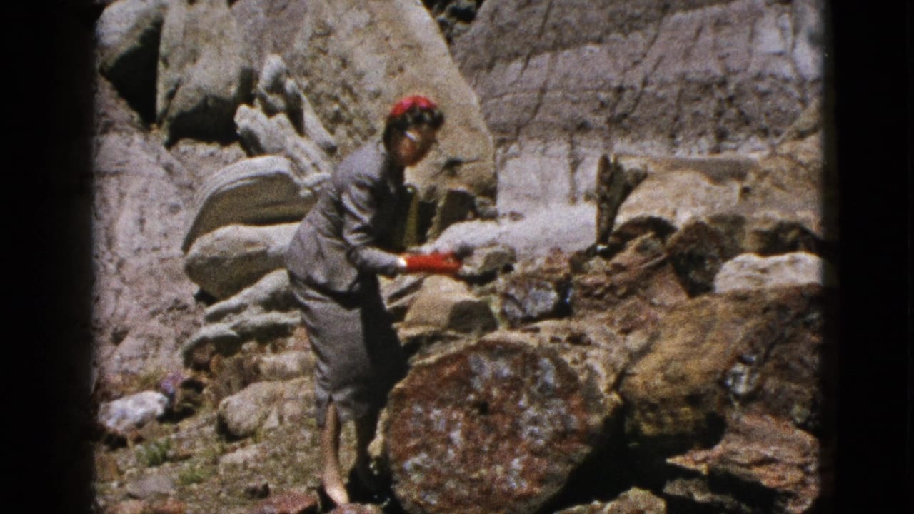 Woman in a red hat and gloves bends near large fossilized tree sections in rocky terrain.