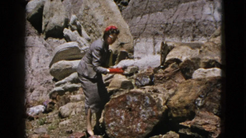 In 1953 California home-movie footage, a dressed woman leans toward petrified logs and boulders in bright sun.