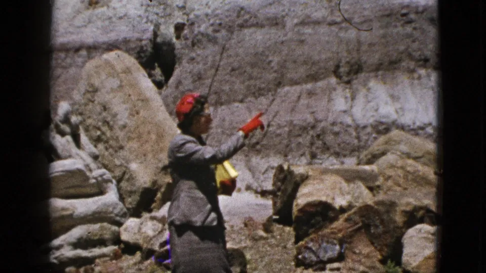 The woman gestures across the sunlit fossilized tree display, framed by boulders and layered stone.