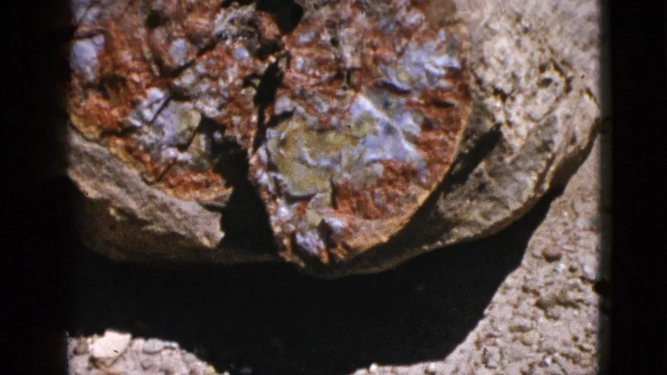 Tight 1953 home-movie frame of patterned petrified wood, with pronounced shadow, grain, and uneven exposure around the specimen.