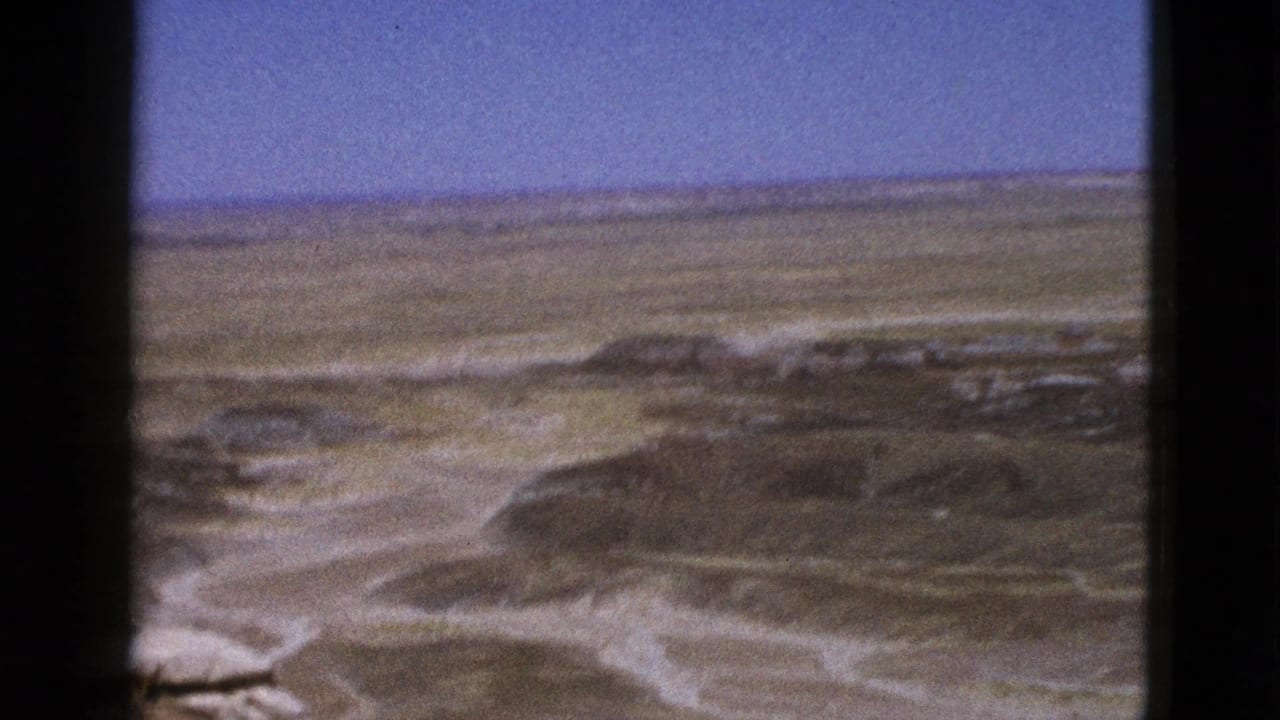 Wide desert view with pale rock formations beneath a blue sky.
