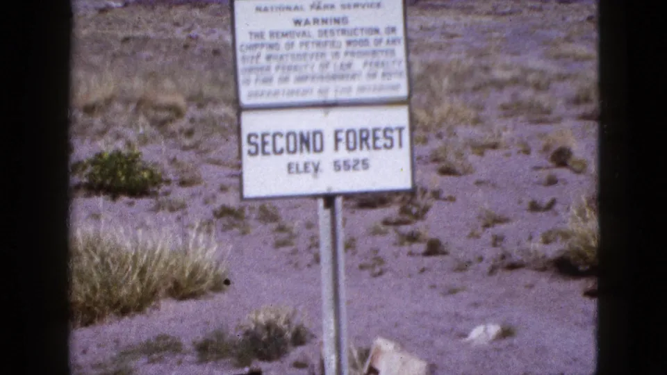 1953 Arizona frame with a National Park Service warning sign above a “Second Forest” elevation marker in sparse desert terrain.