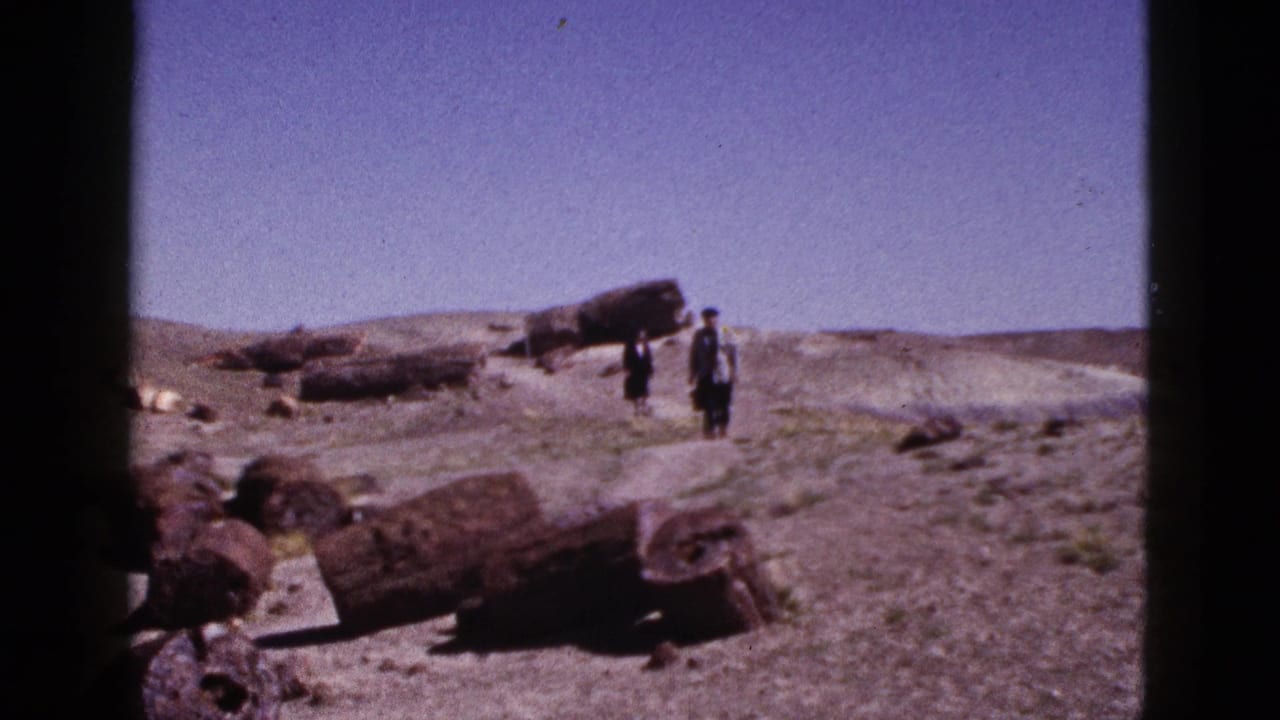 Two distant people walk near large petrified logs in a dry desert landscape.
