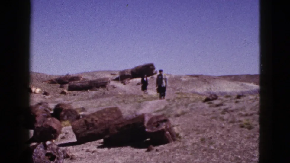 Two distant visitors walk through an Arizona desert area scattered with large petrified wood trunks and rocks.