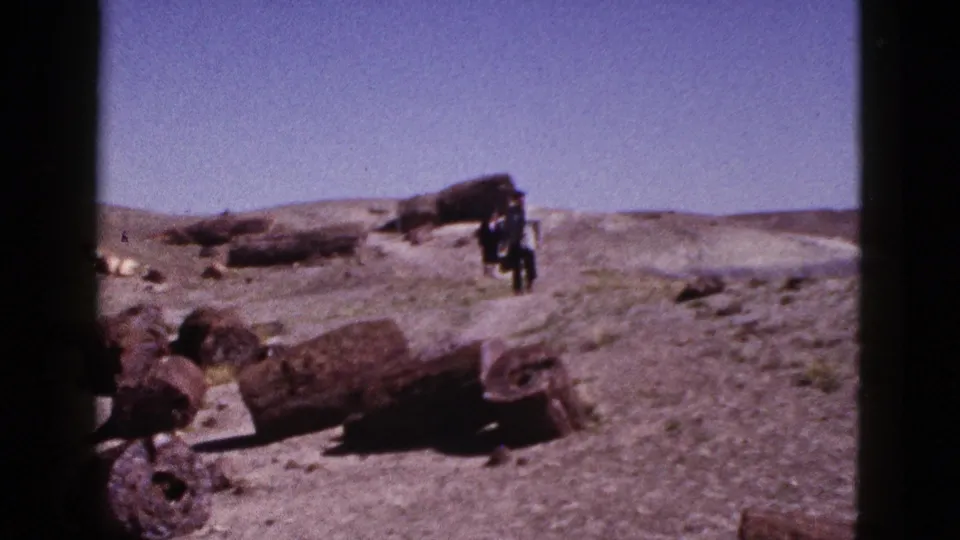 1953 Arizona travel footage frame with petrified wood in the foreground and two visitors walking beyond it.