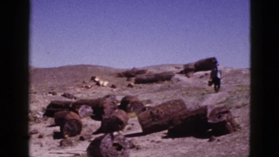 Arizona desert frame showing petrified wood pieces across the ground and a distant person near the right edge.