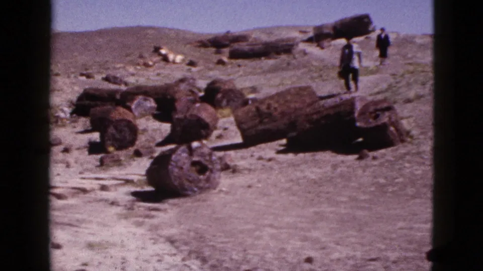 1953 Arizona home-movie frame with two visitors walking through a desert fossil site among large petrified wood logs.