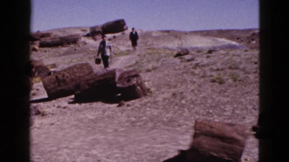 Distant visitors in a 1953 Arizona 8mm frame walk through a petrified wood landscape with low hills beyond.