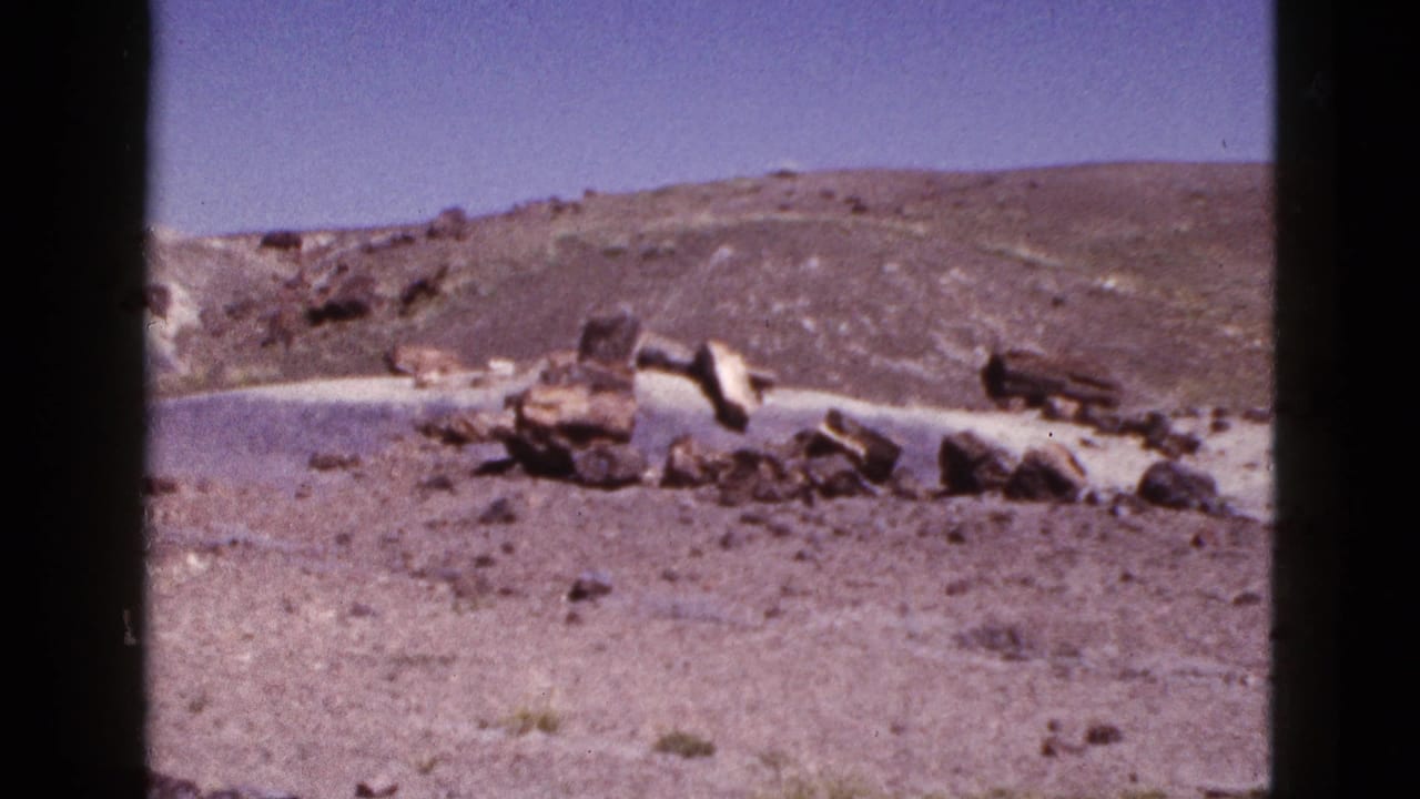 1953 Arizona 8mm frame showing a wide arid landscape with large petrified wood logs scattered across rocky ground.