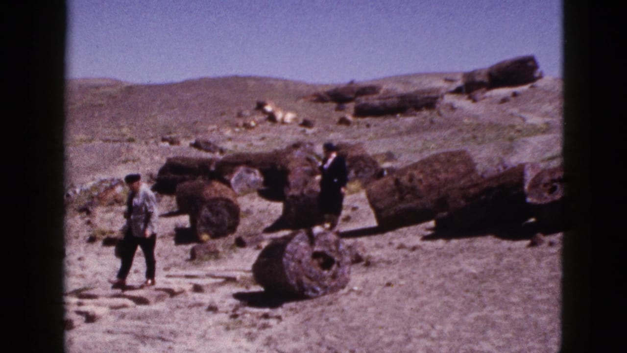 Two visitors walk among large petrified wood logs in a desert area.