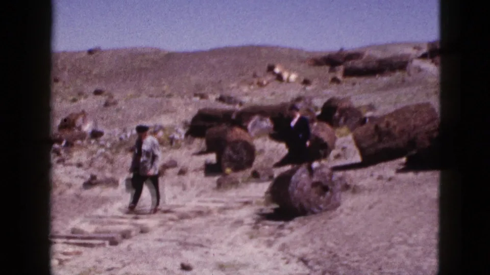 1953 Arizona home-movie frame with two visitors near massive petrified wood logs under a clear sky.