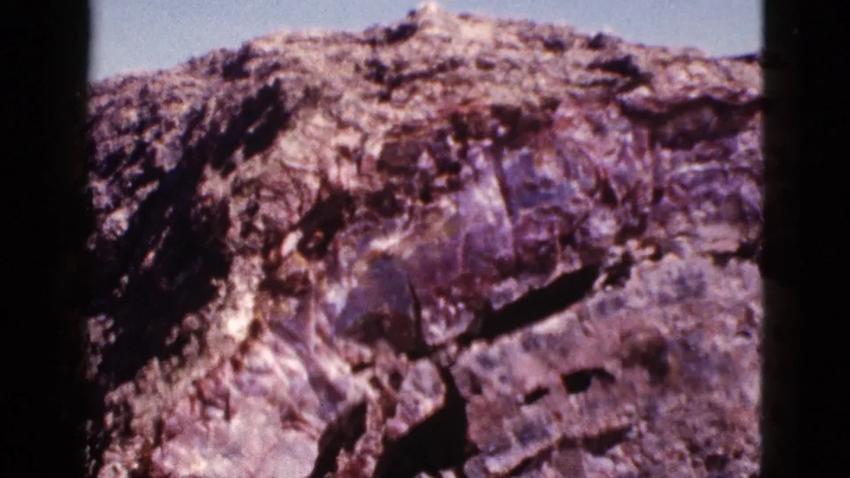 Close 8mm view of petrified wood texture, showing rough fossilized grain and broken surfaces in the desert.