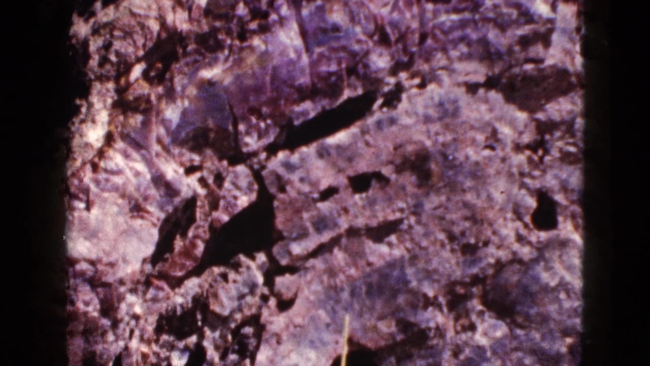 Close-up of cracked rock surface with reddish and purple tones.
