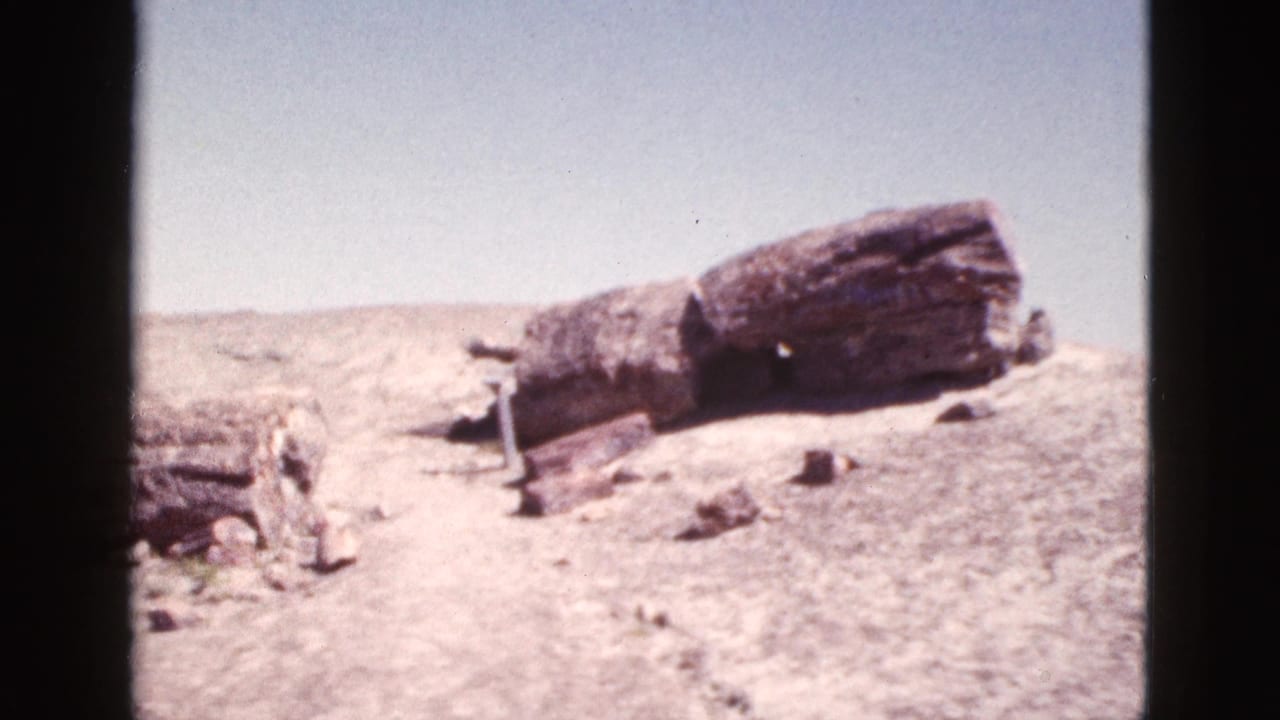 Large weathered stone lying across a pale desert hillside.