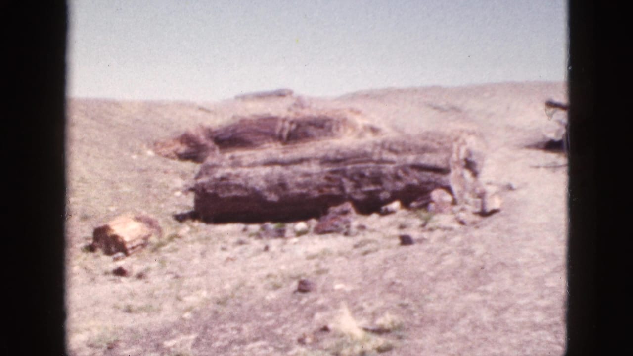 1953 Arizona 8mm frame showing a weathered log or timber pile on dry desert ground with scattered stones and sparse vegetation.