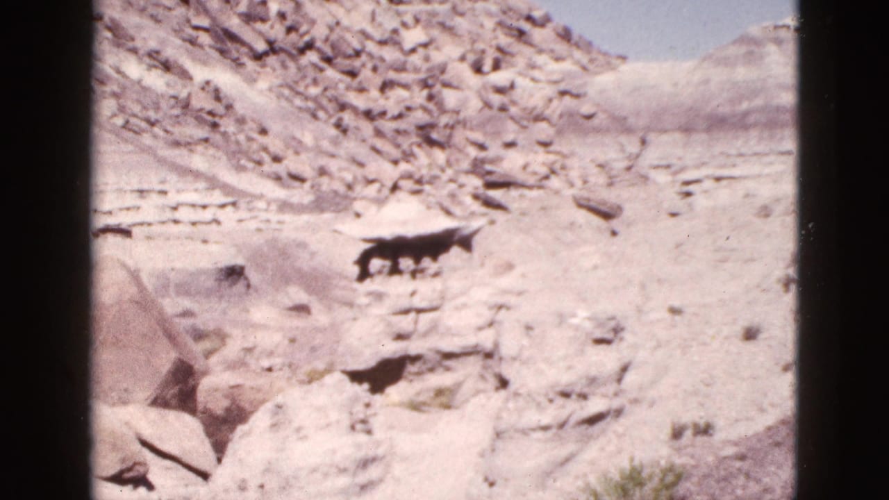 1953 Arizona 8mm frame showing pale desert rocks, layered hillside, sparse scrub, blue sky, and a small dark animal in the distance.