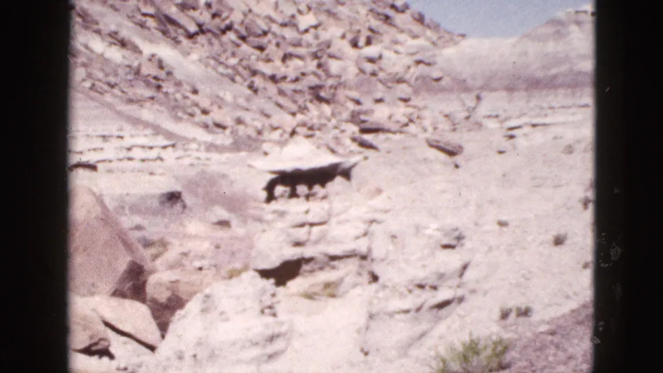 1953 Arizona desert view on 8mm film, with beige rocks, a sloped hillside, blue sky, and a distant dark animal crossing the terrain.