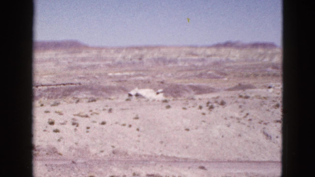 Desert plain with distant ridges, scattered scrub, and a pale object near the center right.