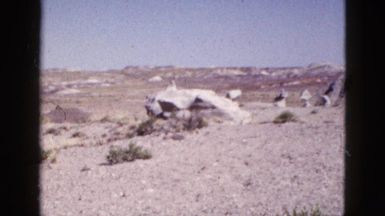 Wide view of pale desert rocks, sparse vegetation, and low mesas in the distance.