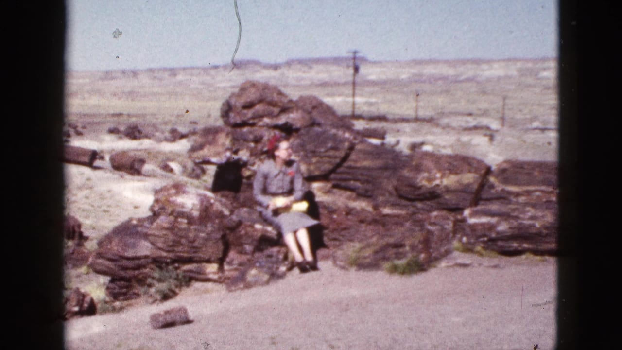 Seated woman on a rock formation in a desert landscape with fence posts and utility poles behind her.