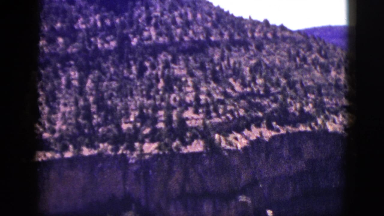 Tree-covered mountain slope above a shadowed cliff wall.