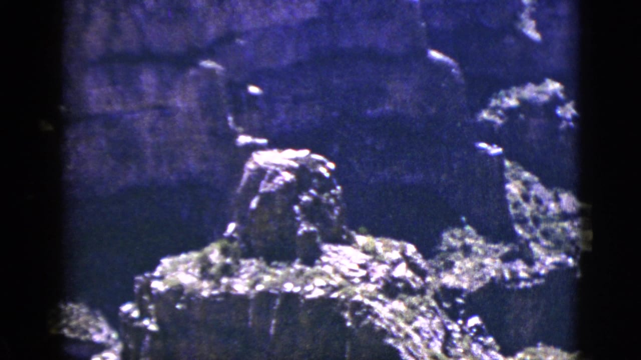 Canyon rock ledge and cliff wall framed by dark film edges.