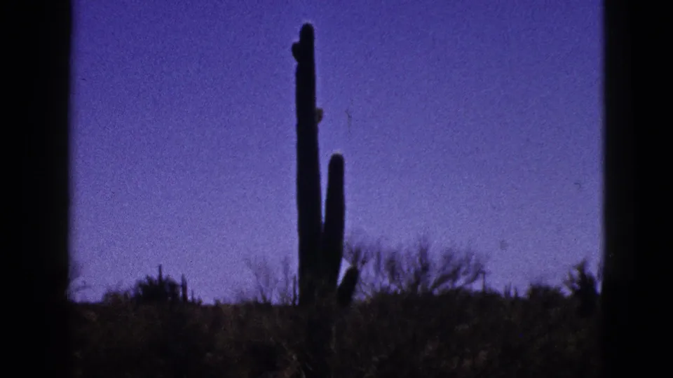 1953 New Mexico home-movie frame with a tall cactus, scrubby desert vegetation, and purple-tinted sky.