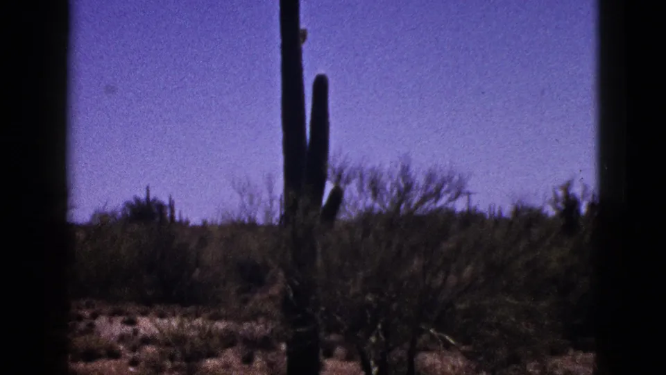 1953 New Mexico 8mm frame showing a tall cactus, desert shrubs, rocky foreground, and saturated blue-purple sky.