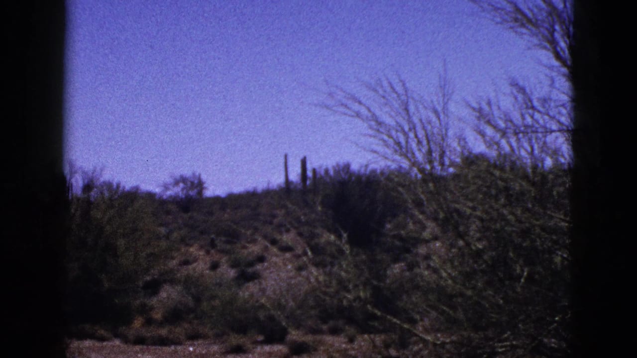 1953 8mm New Mexico desert view with scrub, low hills, bare branches, and dark frame borders.