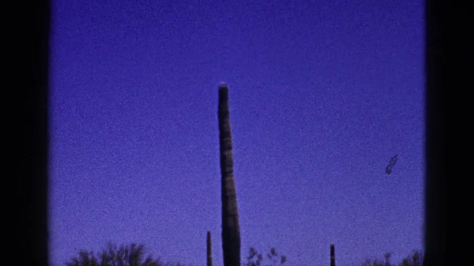 1953 8mm New Mexico view of a tall columnar cactus and distant cactus silhouettes against blue sky.