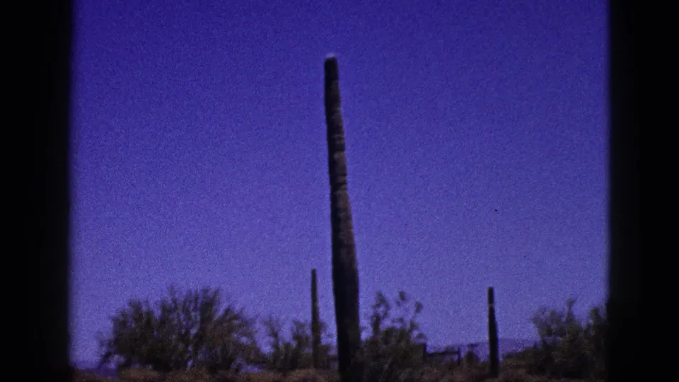 1953 8mm New Mexico desert frame with tall cactus, shrubs, distant hills, and visible film-frame borders.