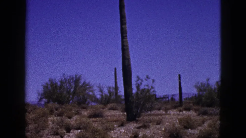 1953 8mm New Mexico desert shot showing a tall cactus, scrub brush, low hills, and dark in-camera borders.