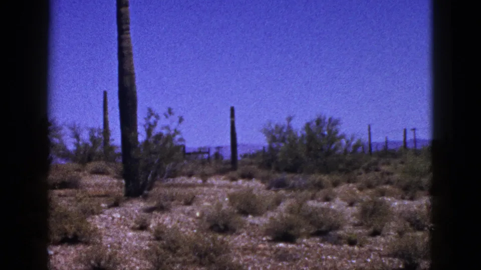 1953 New Mexico home-movie still showing cactus trunks, low brush, sandy terrain, and a distant mountain line under clear blue sky.