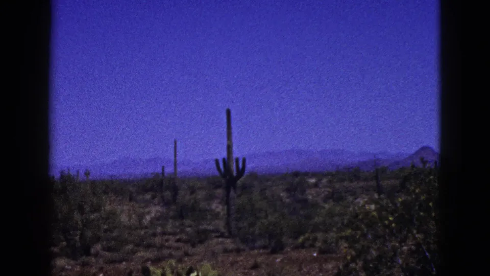 1953 New Mexico desert landscape with cactus forms in the midground, low vegetation, distant mountains, and saturated blue 8mm color.