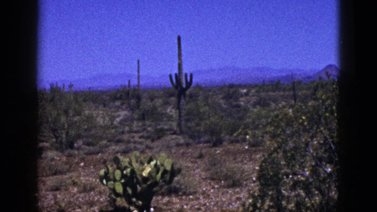 Cacti and desert shrubs stretch toward hazy hills below a bright blue sky.