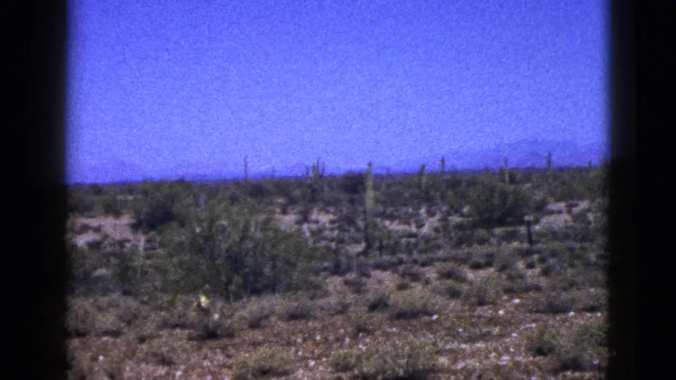 1953 New Mexico 8mm frame with a wider view of scattered cacti and brush across open desert under clear sky.