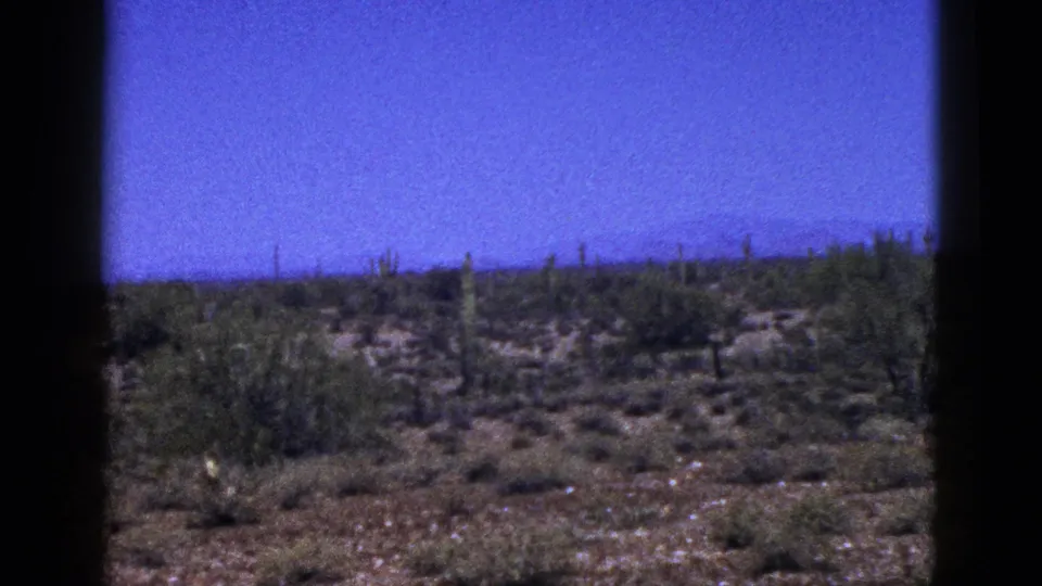 1953 New Mexico 8mm frame showing open desert vegetation and cactus silhouettes against a broad blue sky.