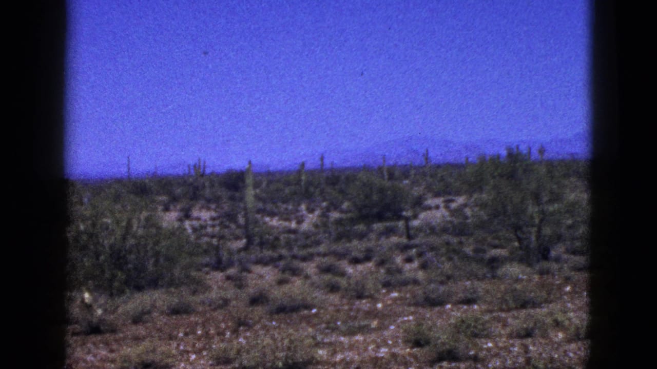 1953 8mm New Mexico desert view with low shrubs, scattered columnar cacti, rocky ground, and a saturated blue sky.