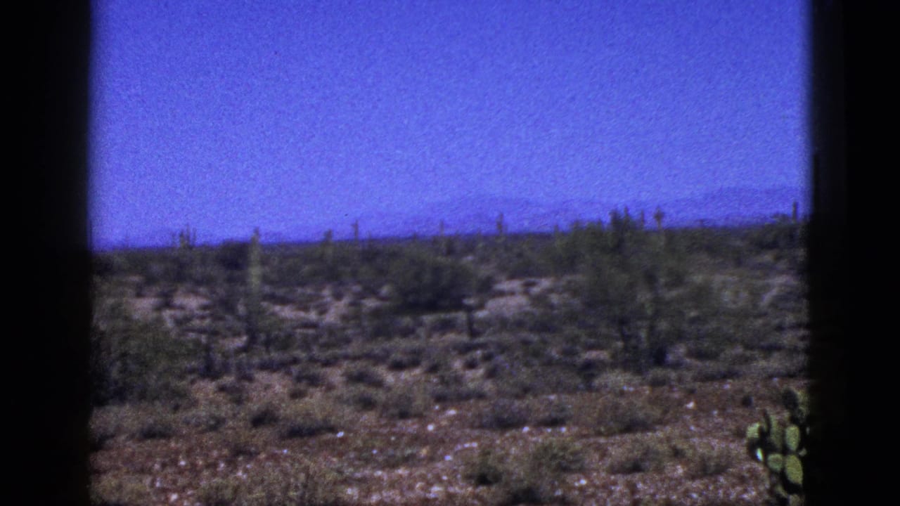 Wide desert view with scattered cacti and low shrubs seen through dark vertical film borders.